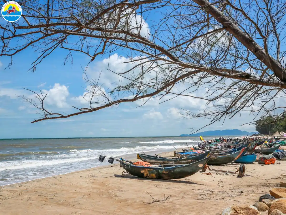 xuyên mộc vũng tàu