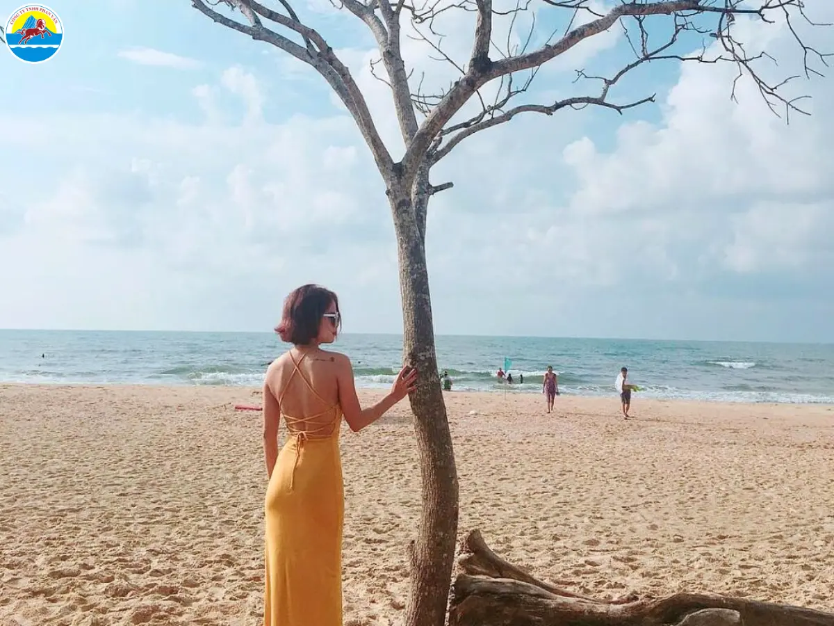 xuyên mộc vũng tàu