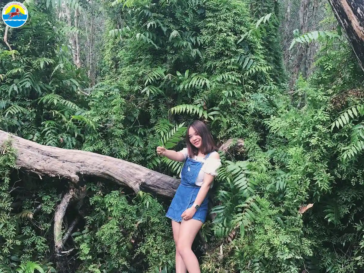 xuyên mộc vũng tàu