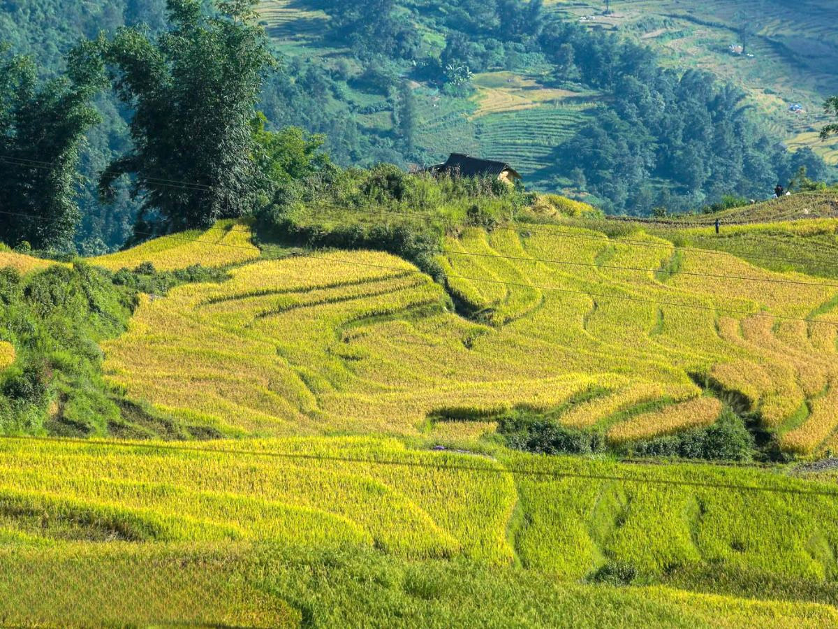 du-lich-y-ty-3-ngay-2-dem-tu-da-nang-kham-pha-ban-lang-vung-cao-phan-van-travel-1