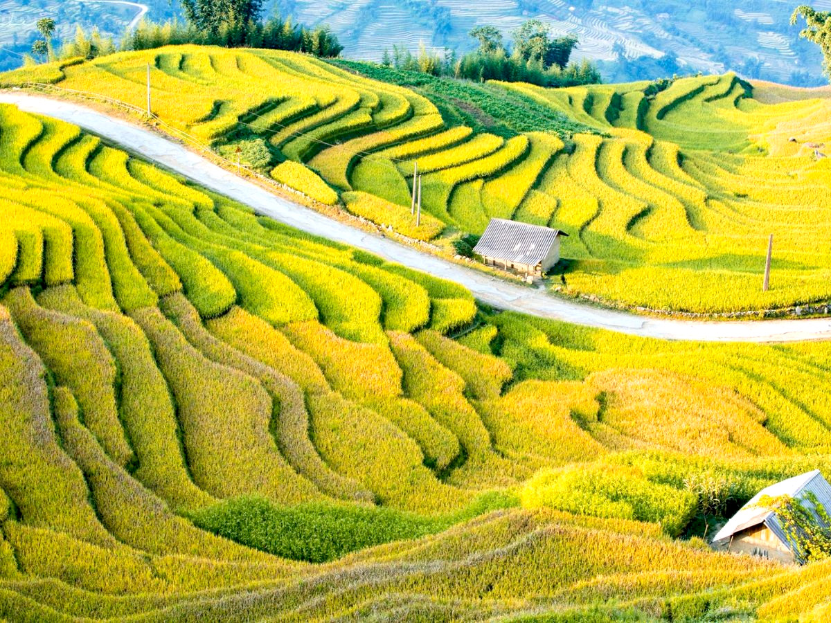 du-lich-y-ty-kham-pha-thien-duong-may-mu-vung-cao-lao-cai-phan-van-travel-1