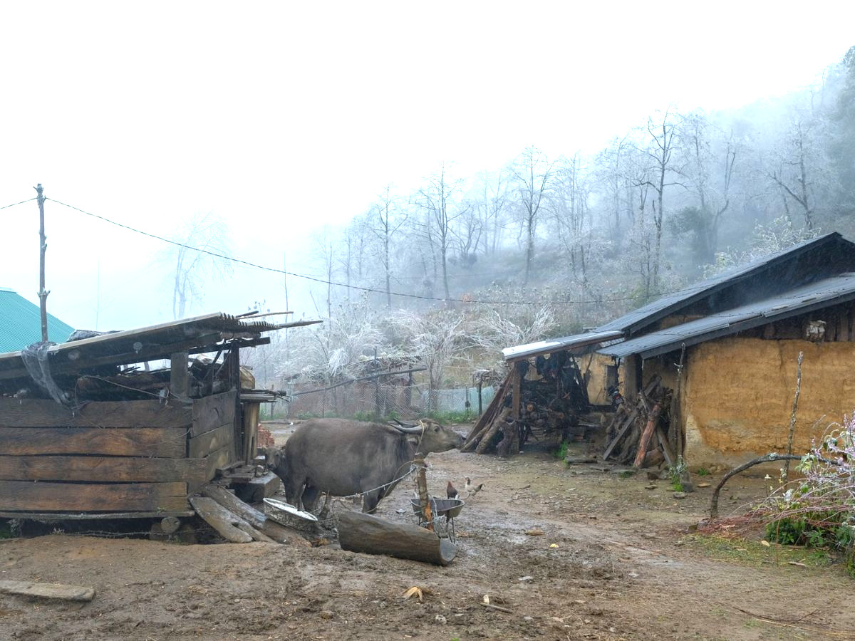 du-lich-y-ty-kham-pha-thien-duong-may-mu-vung-cao-lao-cai-phan-van-travel-2