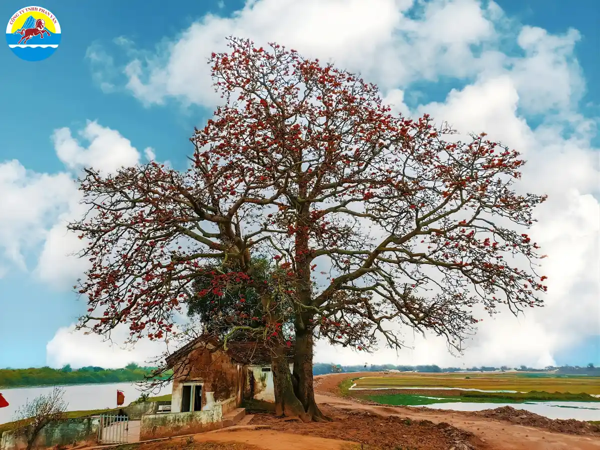 du lịch Yên Dũng Bắc Giang​