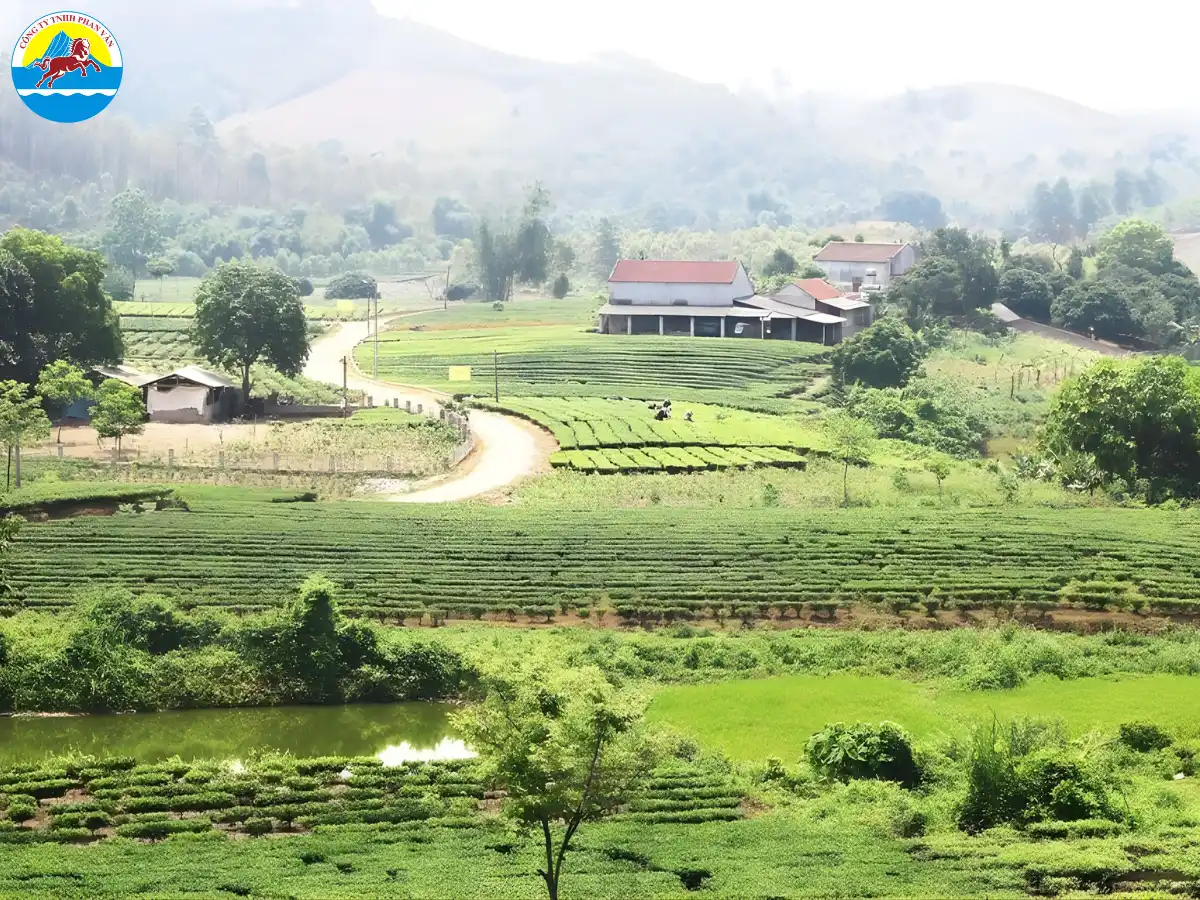 du lịch Yên Thế Bắc Giang​