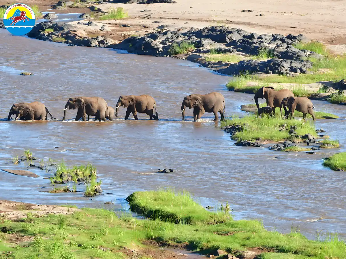 du lịch Zimbabwe