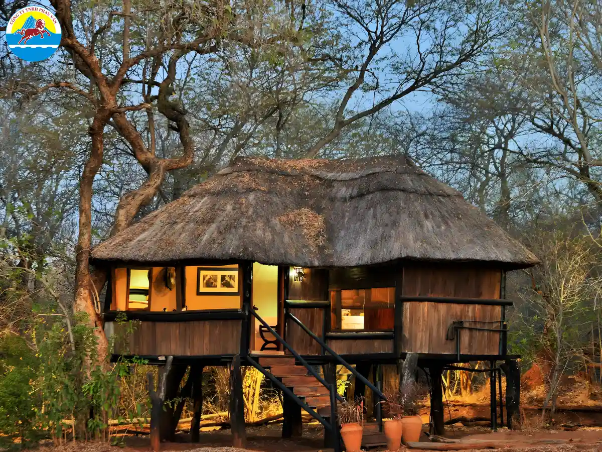 Trải nghiệm Safari Lodge