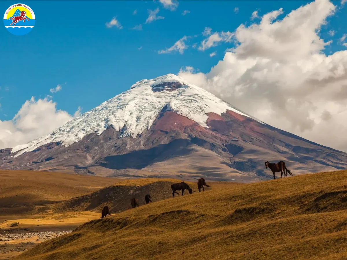 Vườn quốc gia Cotopaxi