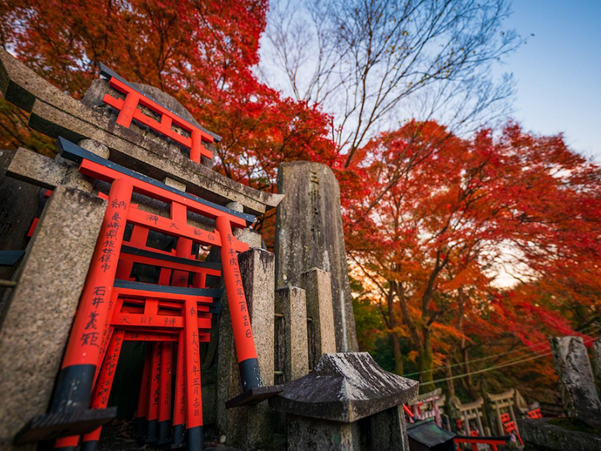 Fushimi Inari-taisha Nhật Bản