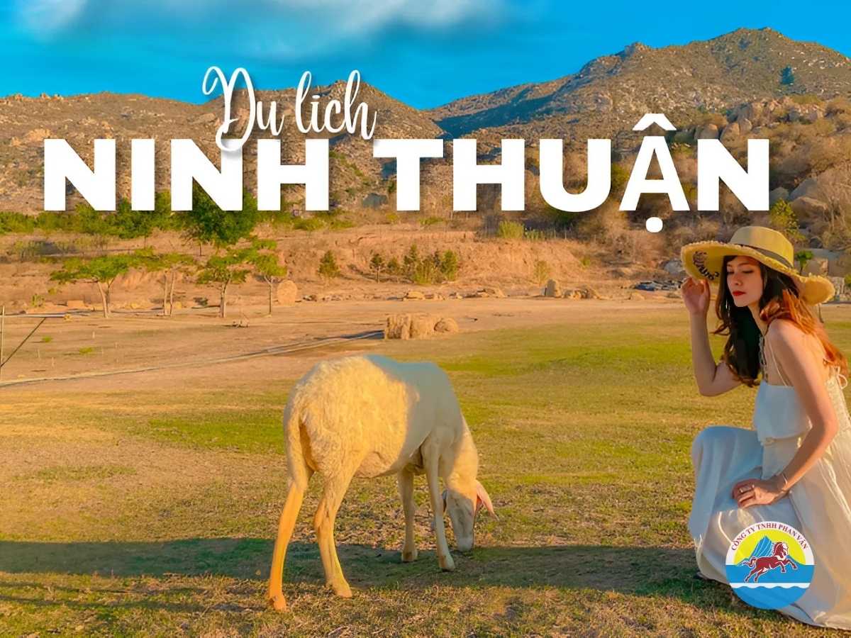 Gợi ý lịch trình cho tour du lịch Ninh Thuận 3 ngày 2 đêm