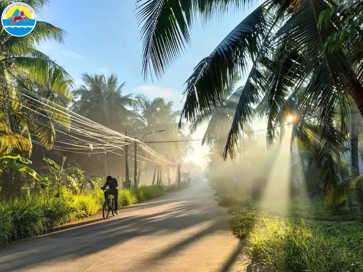 tháng 1 nên đi du lịch ở đâu miền nam