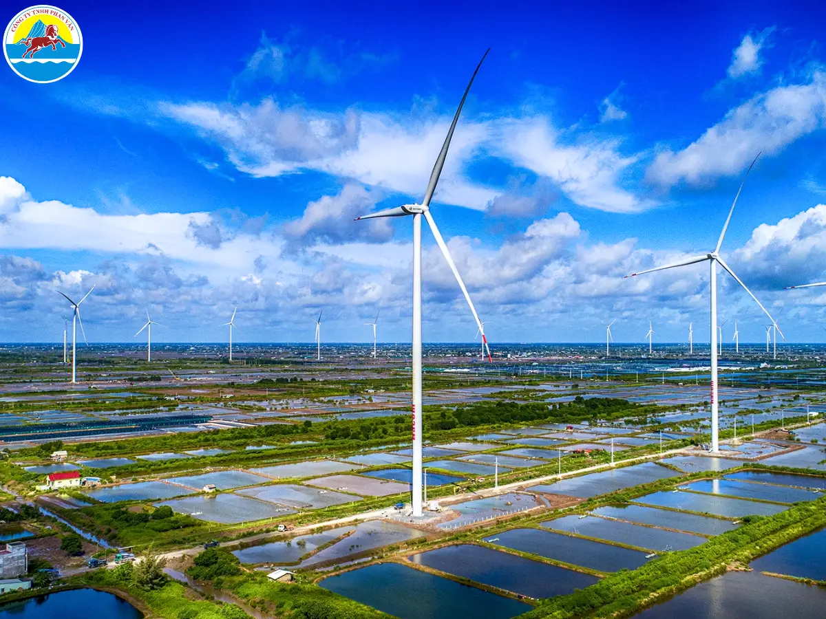 tháng 1 nên đi du lịch ở đâu miền nam​