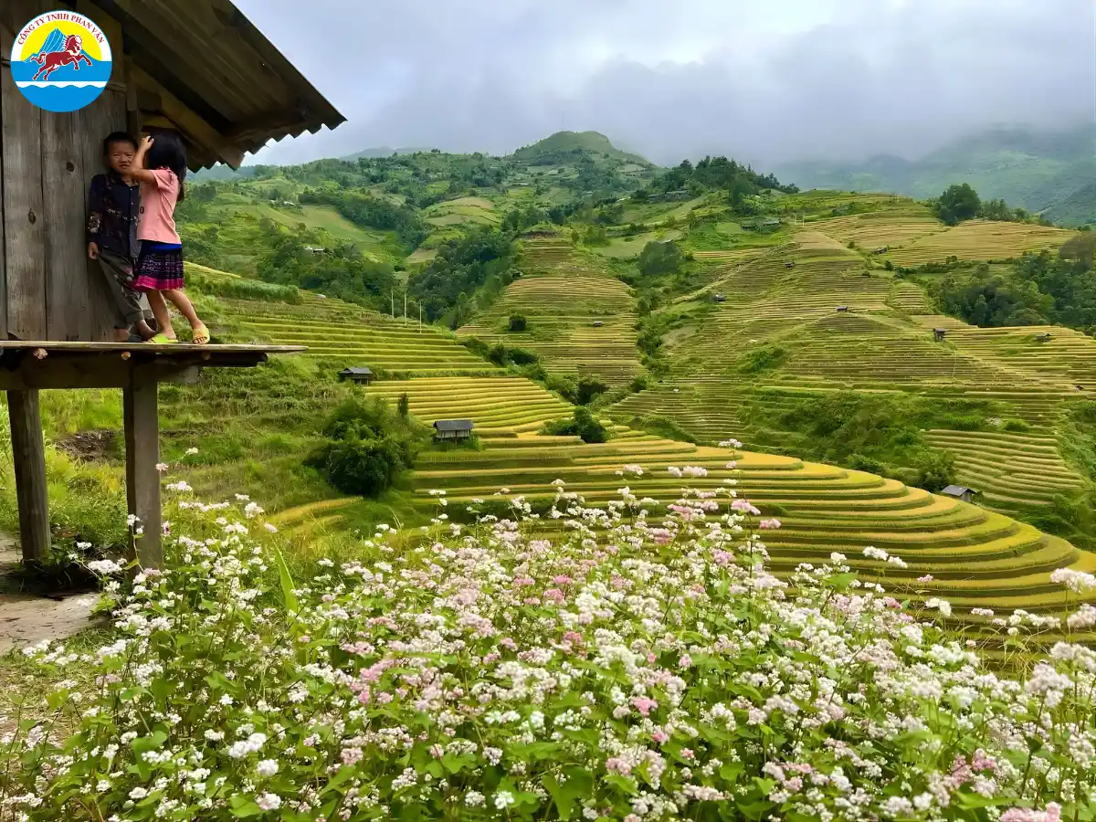 Hà Giang mùa lúa chín