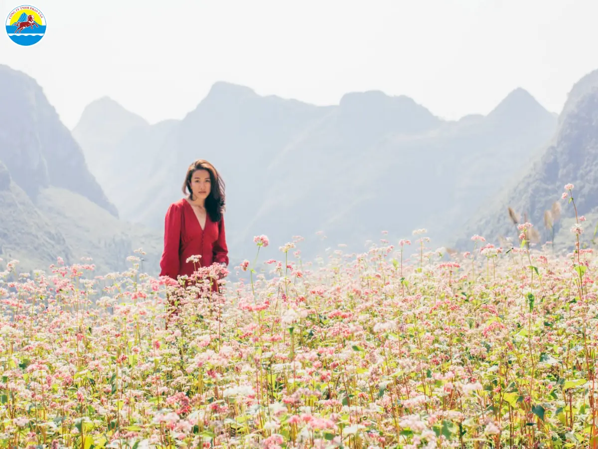 du lịch hà giang tháng 1