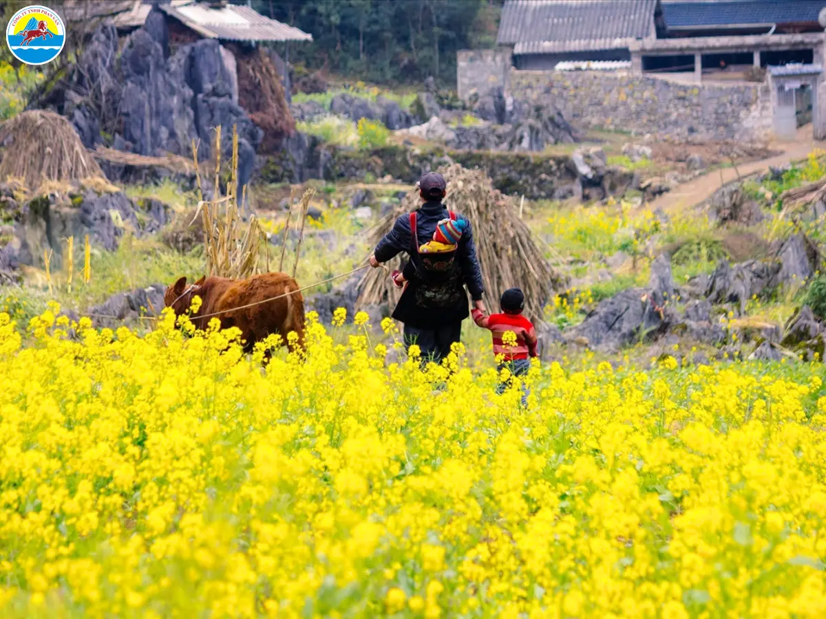 du lịch hà giang tháng 1​