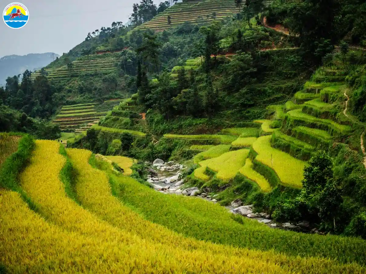 du lịch hà giang tháng 1​