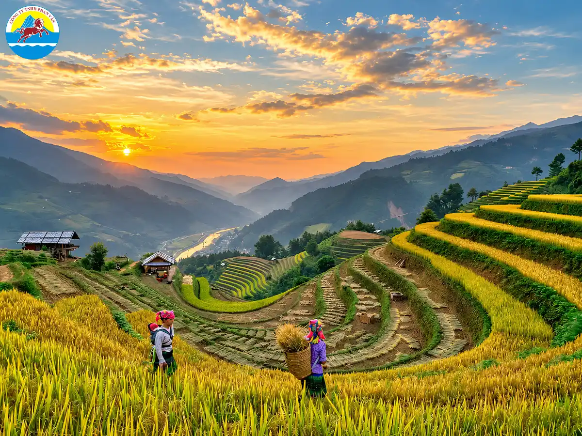 Ngắm ruộng bậc thang Hoàng Su Phì