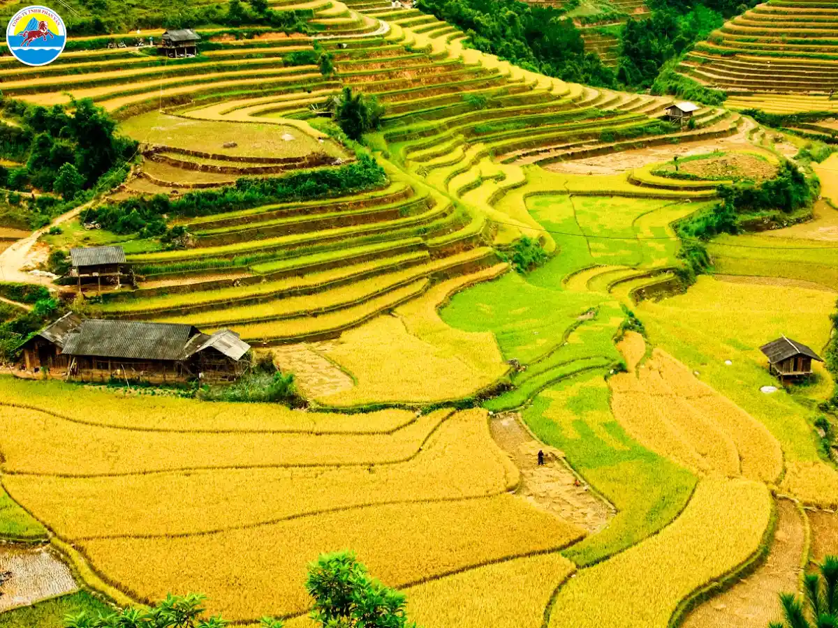 kinh nghiệm đi du lịch hà giang tháng 10​