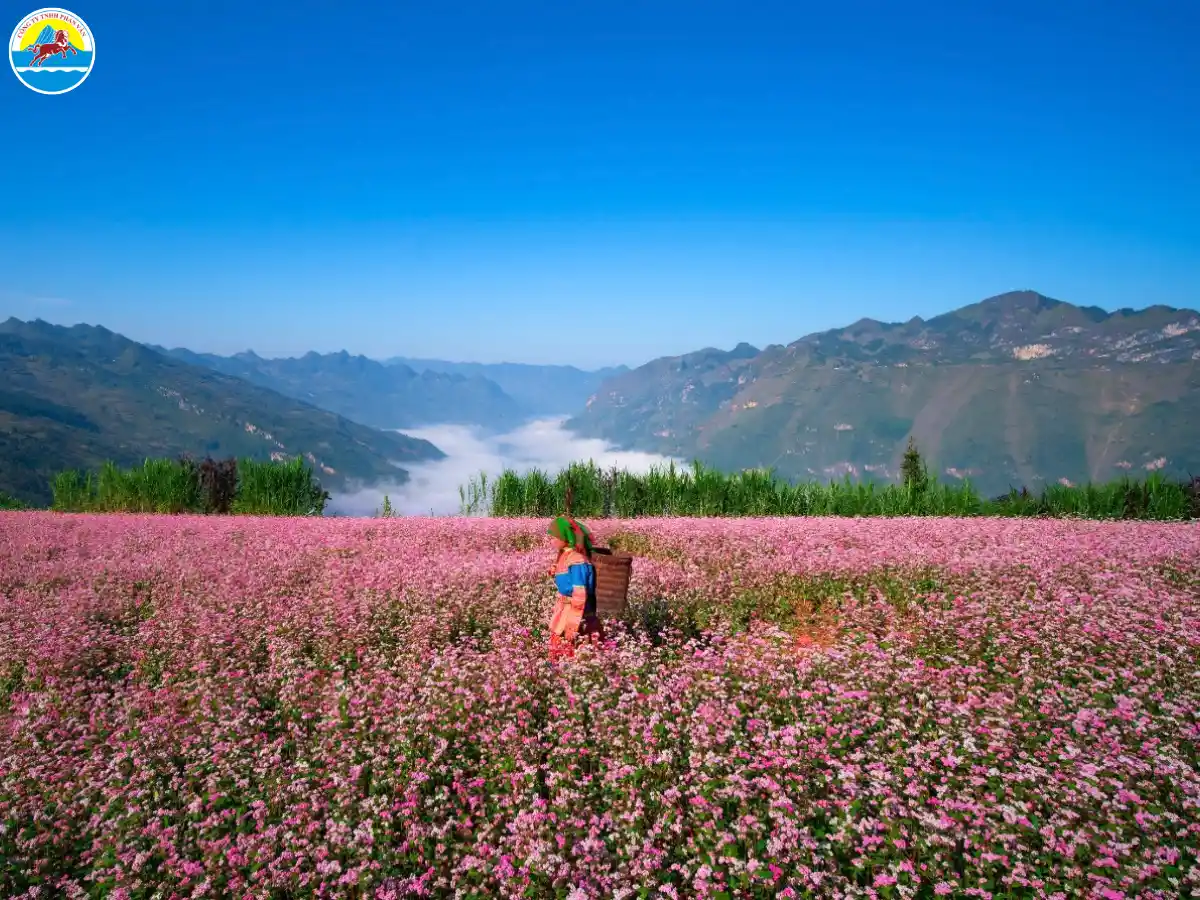 du lịch hà giang tháng 10