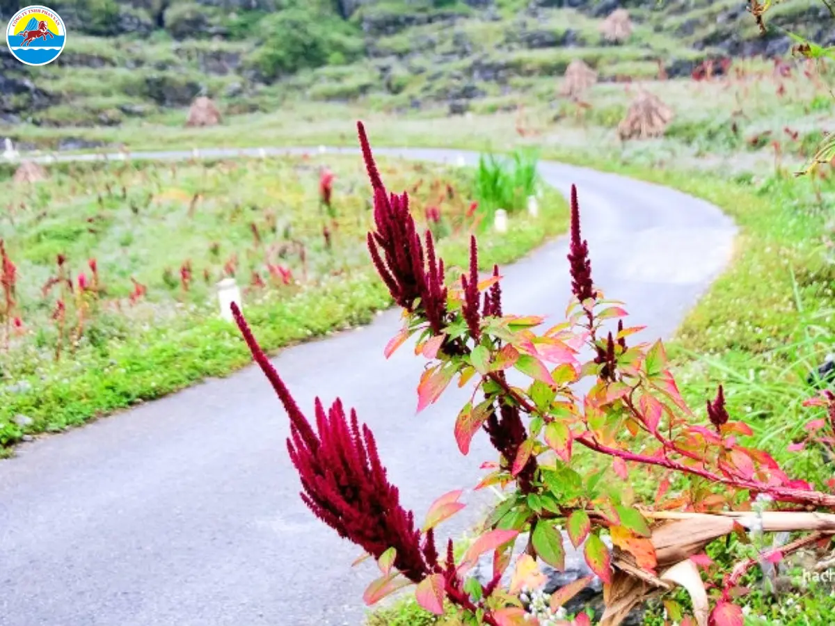 hà giang tháng 10 có gì