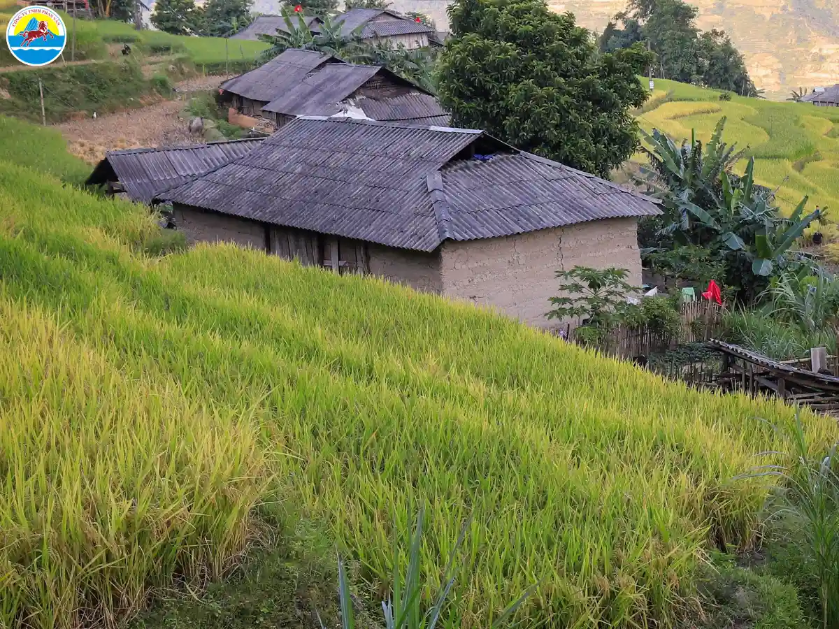 du lịch hà giang tháng 11​