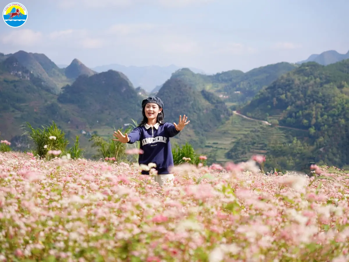 hà giang tháng 11 có gì