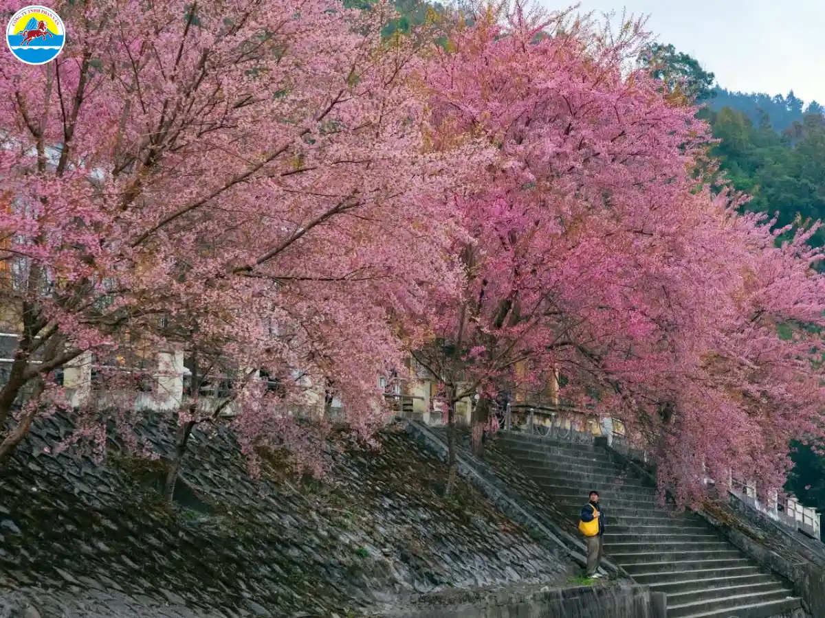 hà giang tháng 2 có gì đẹp
