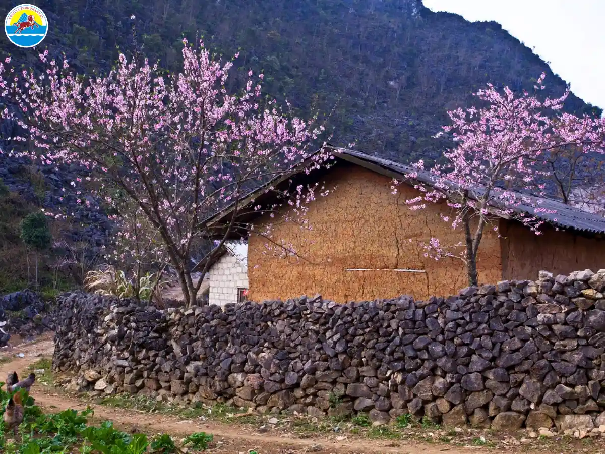 tháng 2 hà giang có gì
