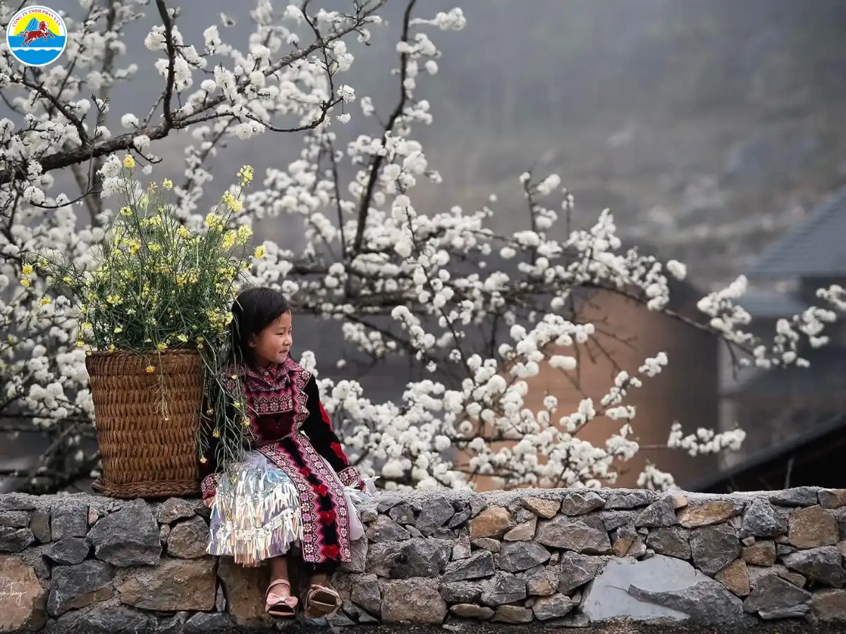 đi hà giang tháng 2​