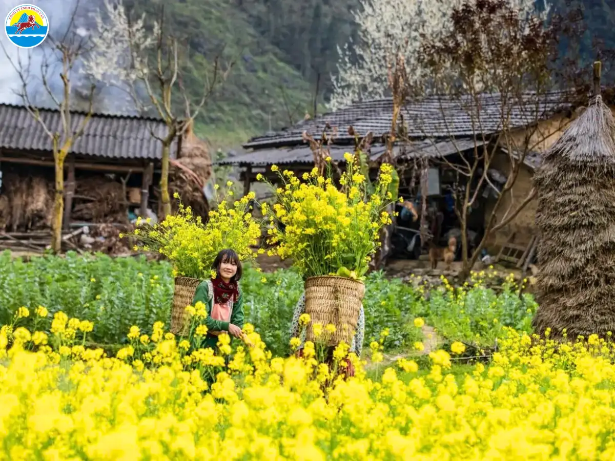 du lịch hà giang tháng 2​