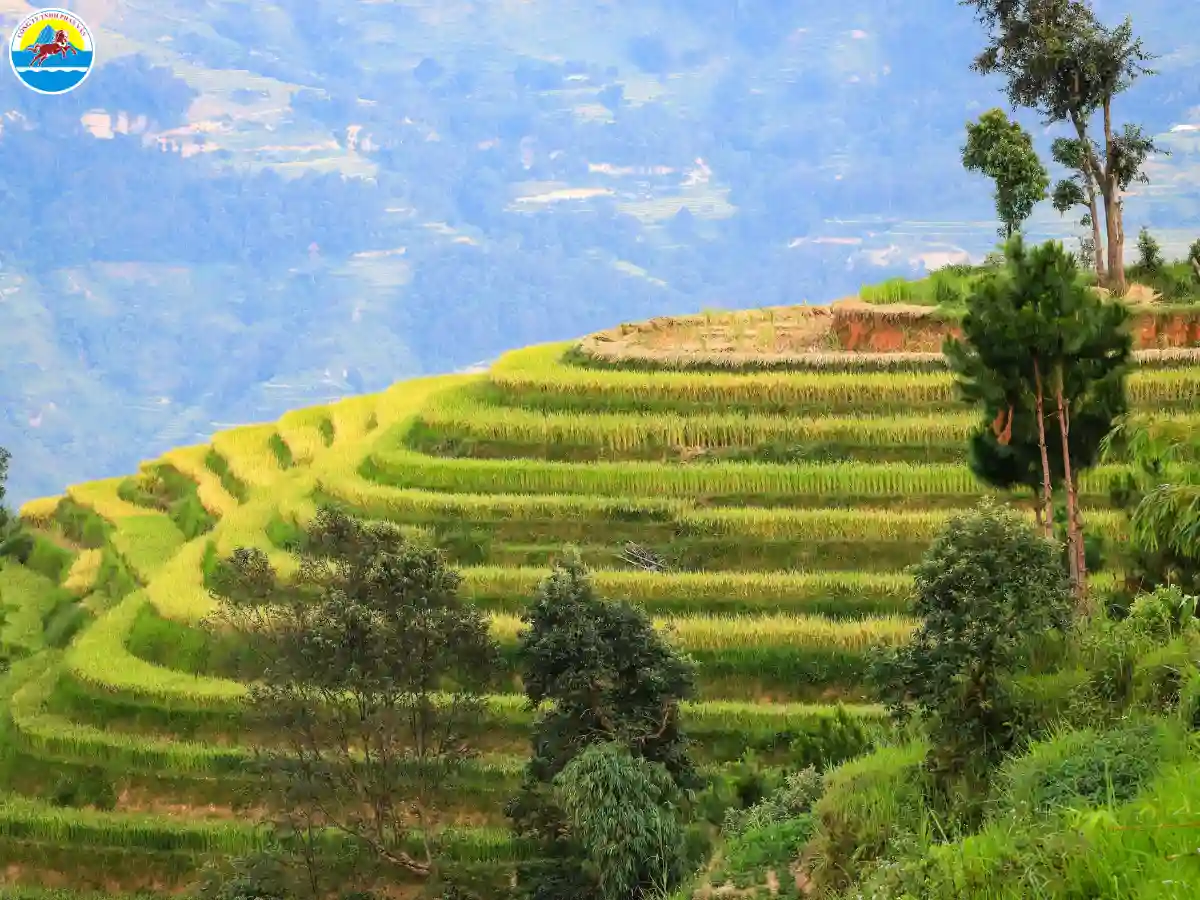 hà giang tháng 3 có gì đẹp​