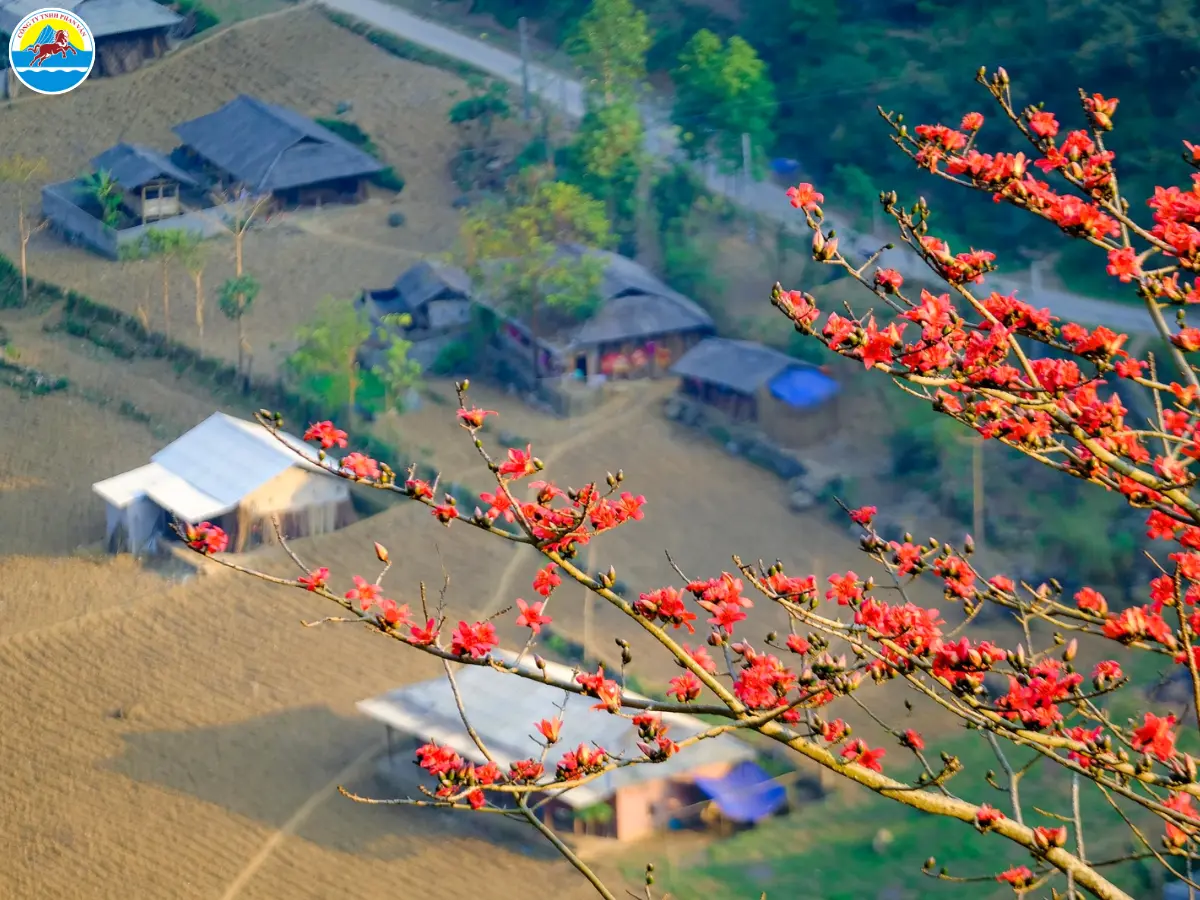 hà giang tháng 3 có gì