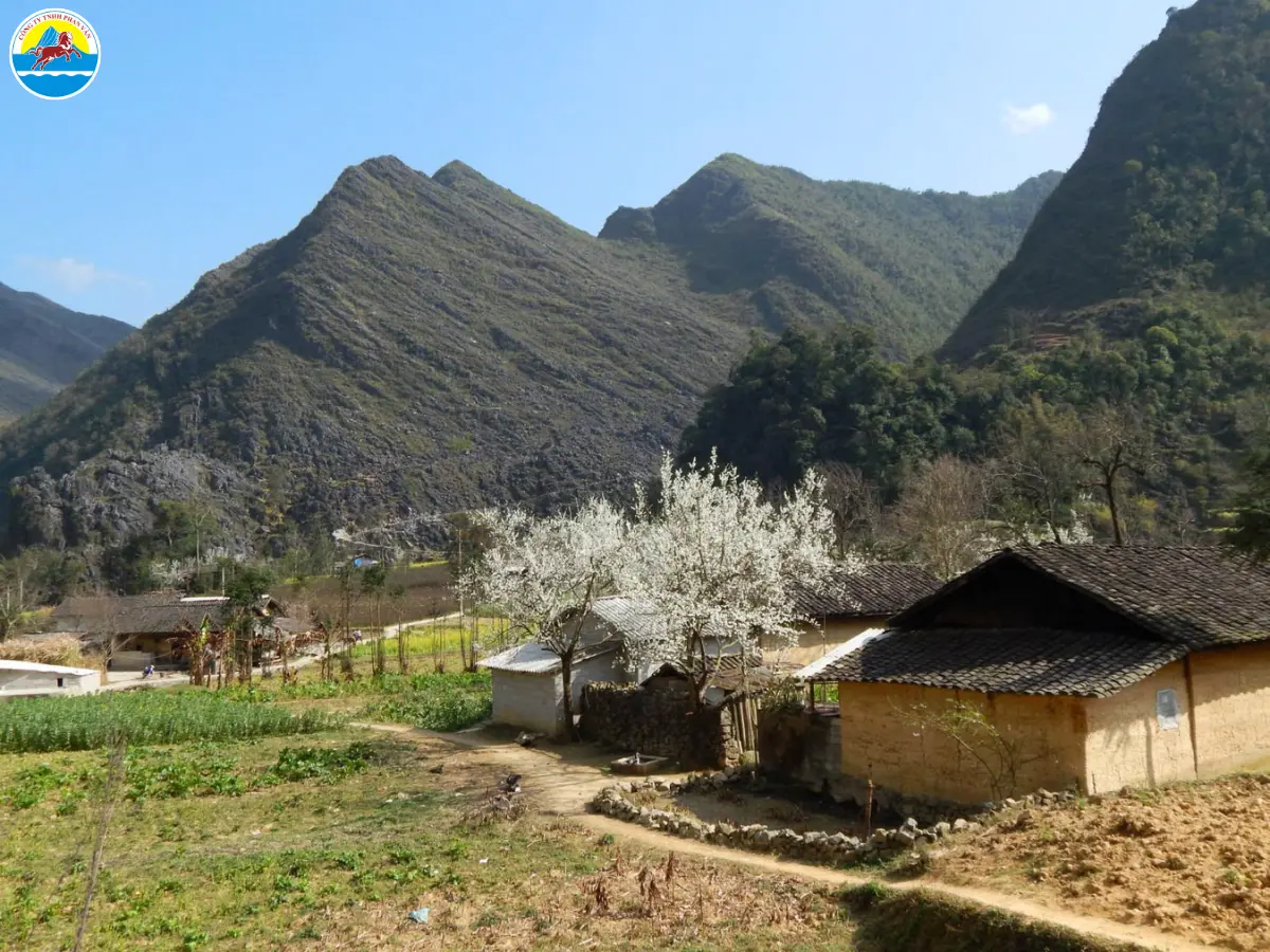 hà giang tháng 3 có gì đẹp