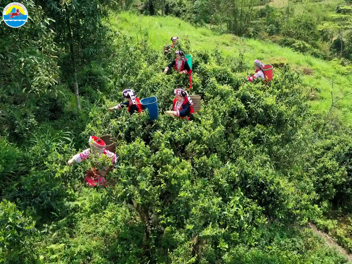 hà giang tháng 3 có lạnh không