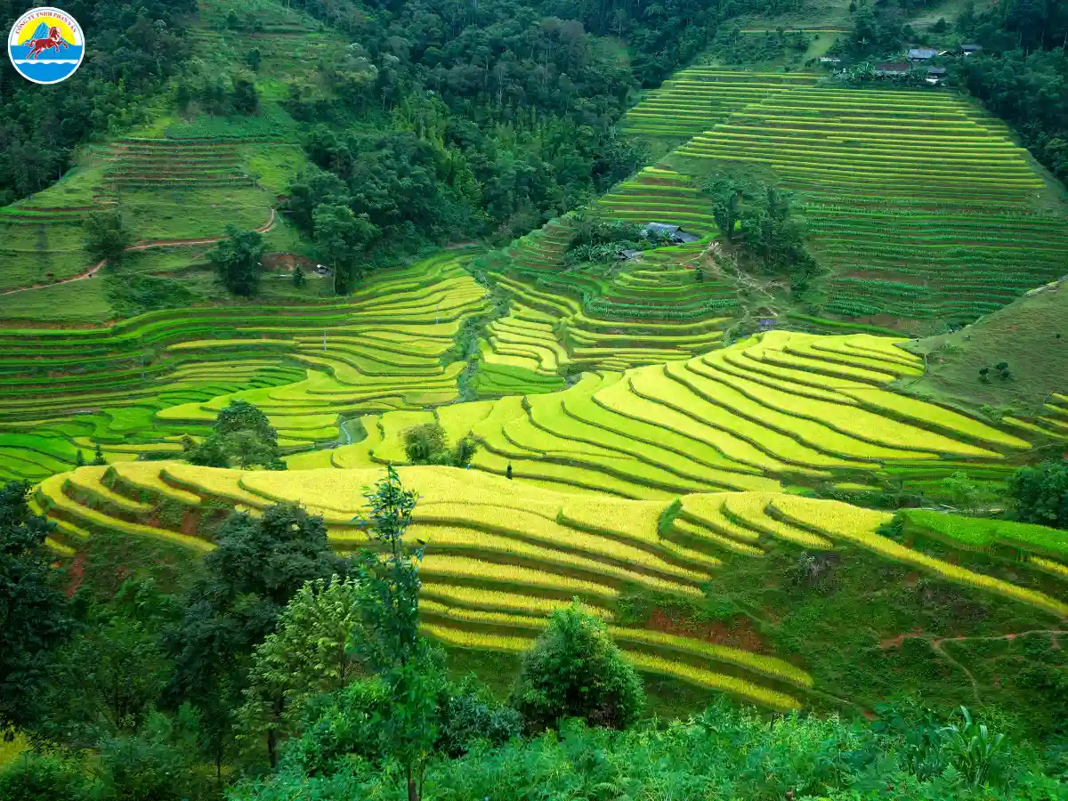 hà giang tháng 5 có gì đẹp​