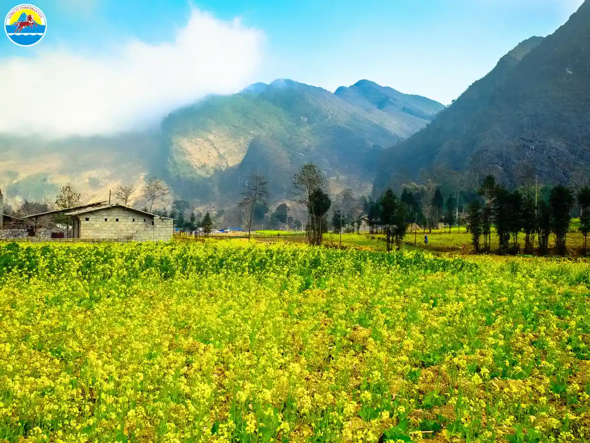 du lịch hà giang tháng 7​