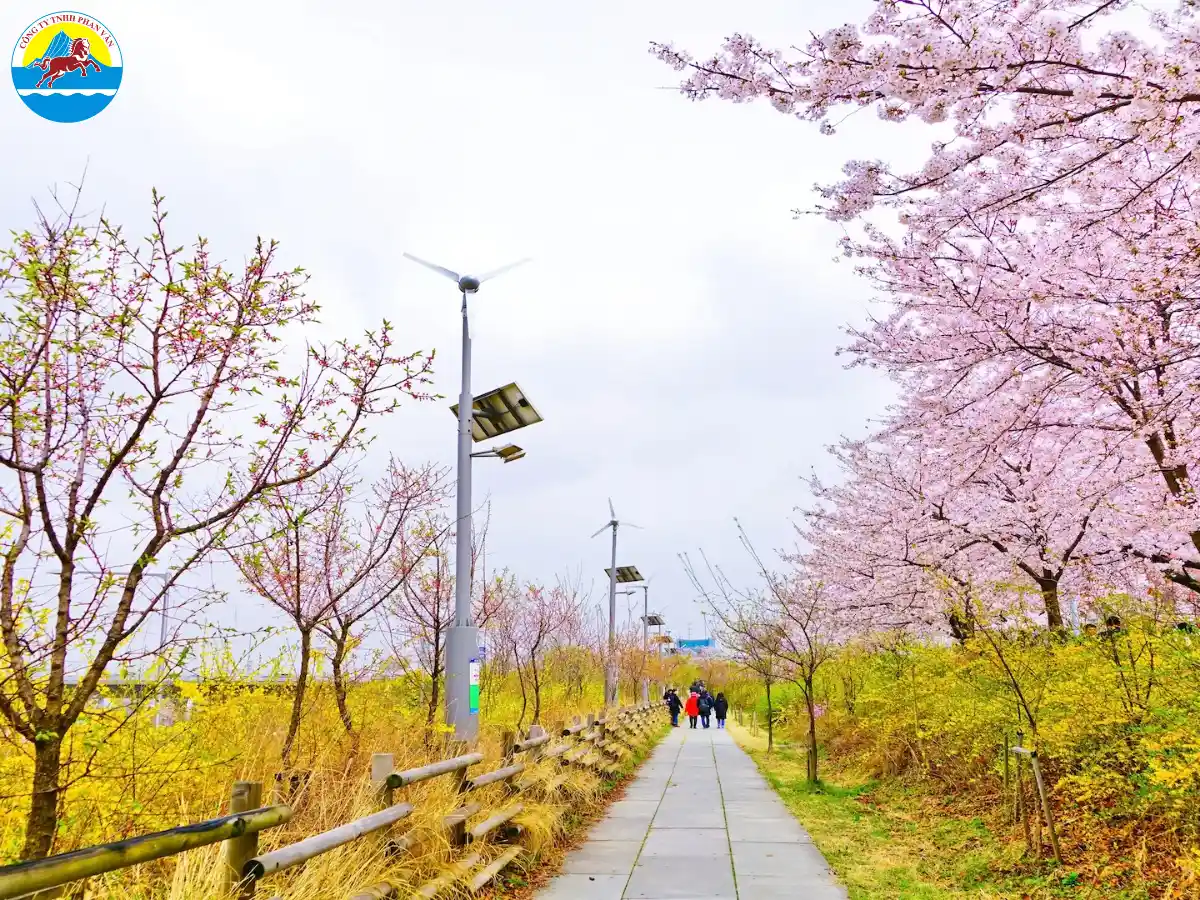 Công viên Yeouido (Seoul)