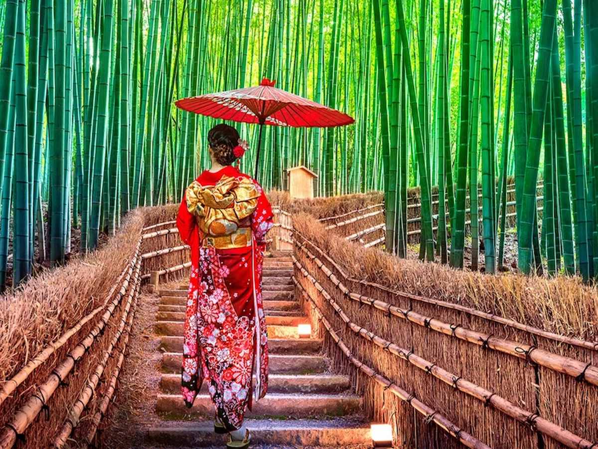 Hẻm trúc Arashiyama Nhật Bản