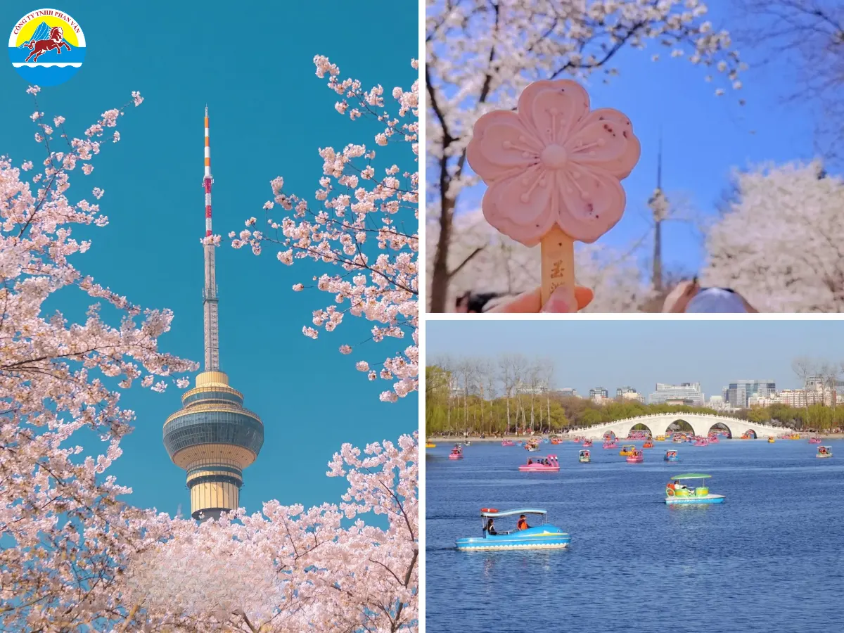 Công viên Ngọc Uyển Đàm - thiên đường hoa anh đào