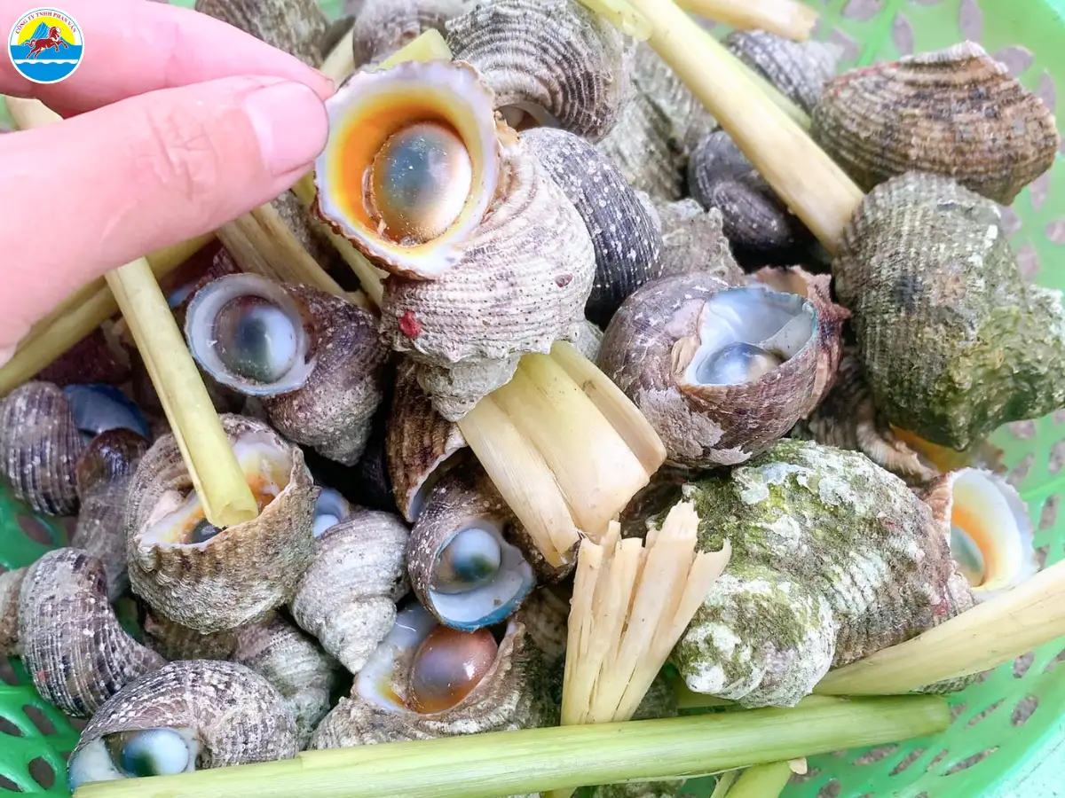 đảo hòn chùa phú yên