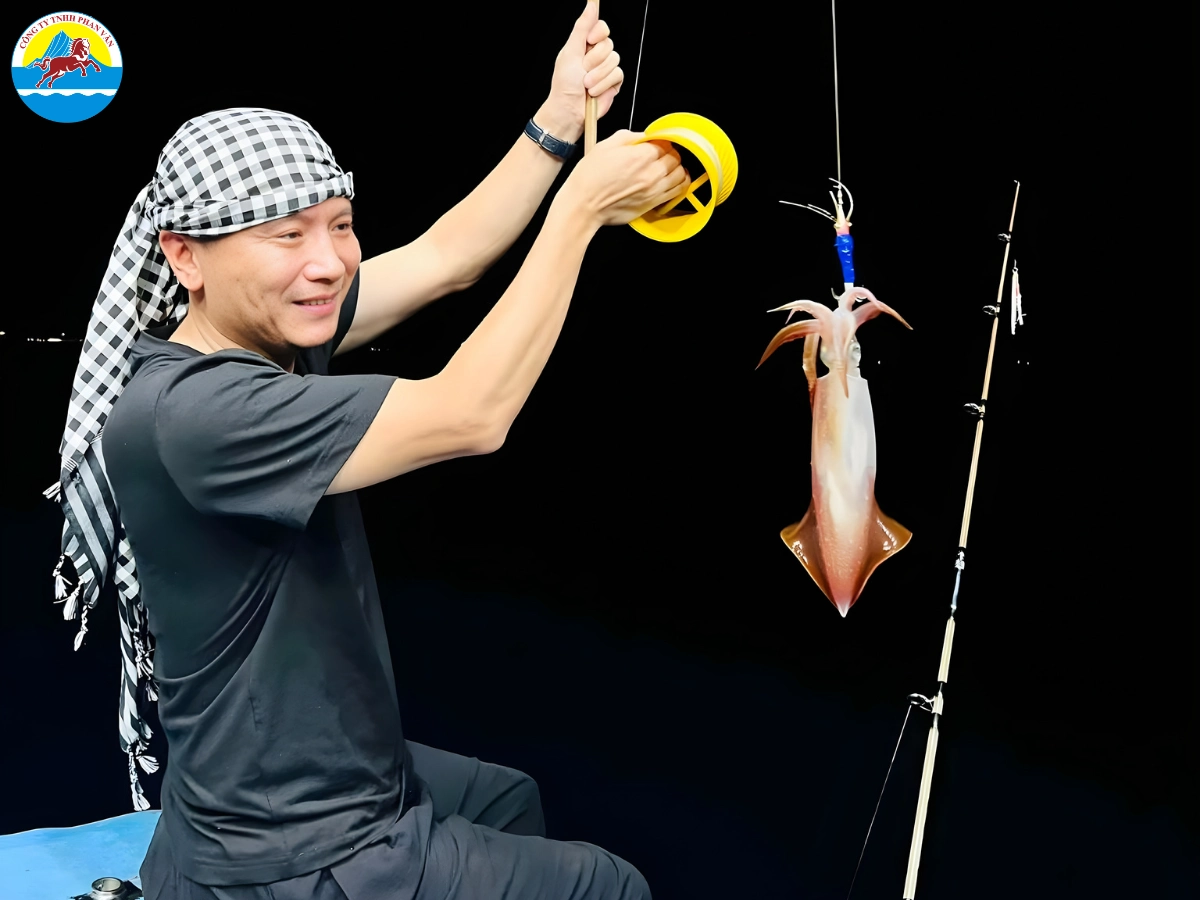 Câu mực đêm