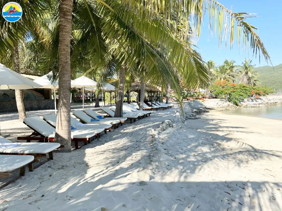 nha trang hòn tre​