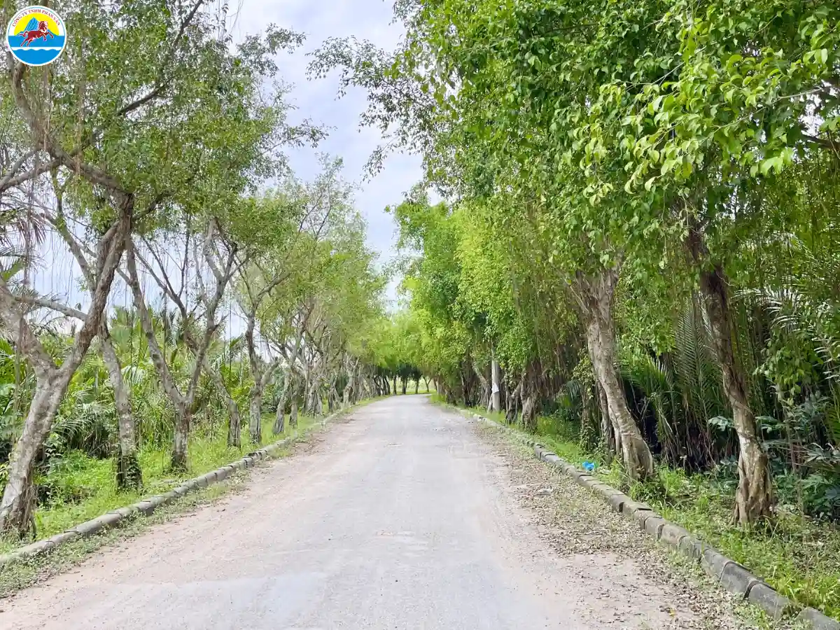 du lịch nhà bè