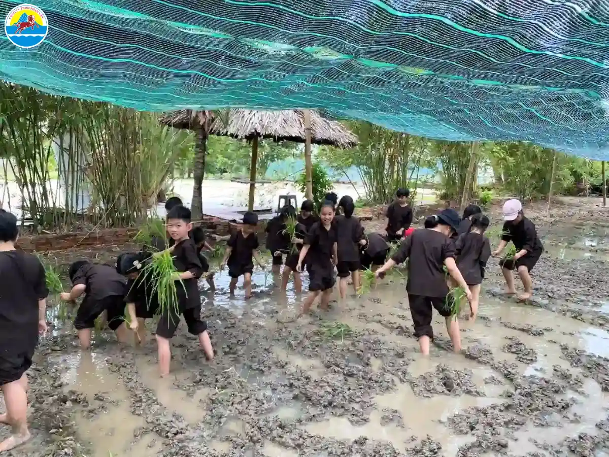 du lịch nhà bè​