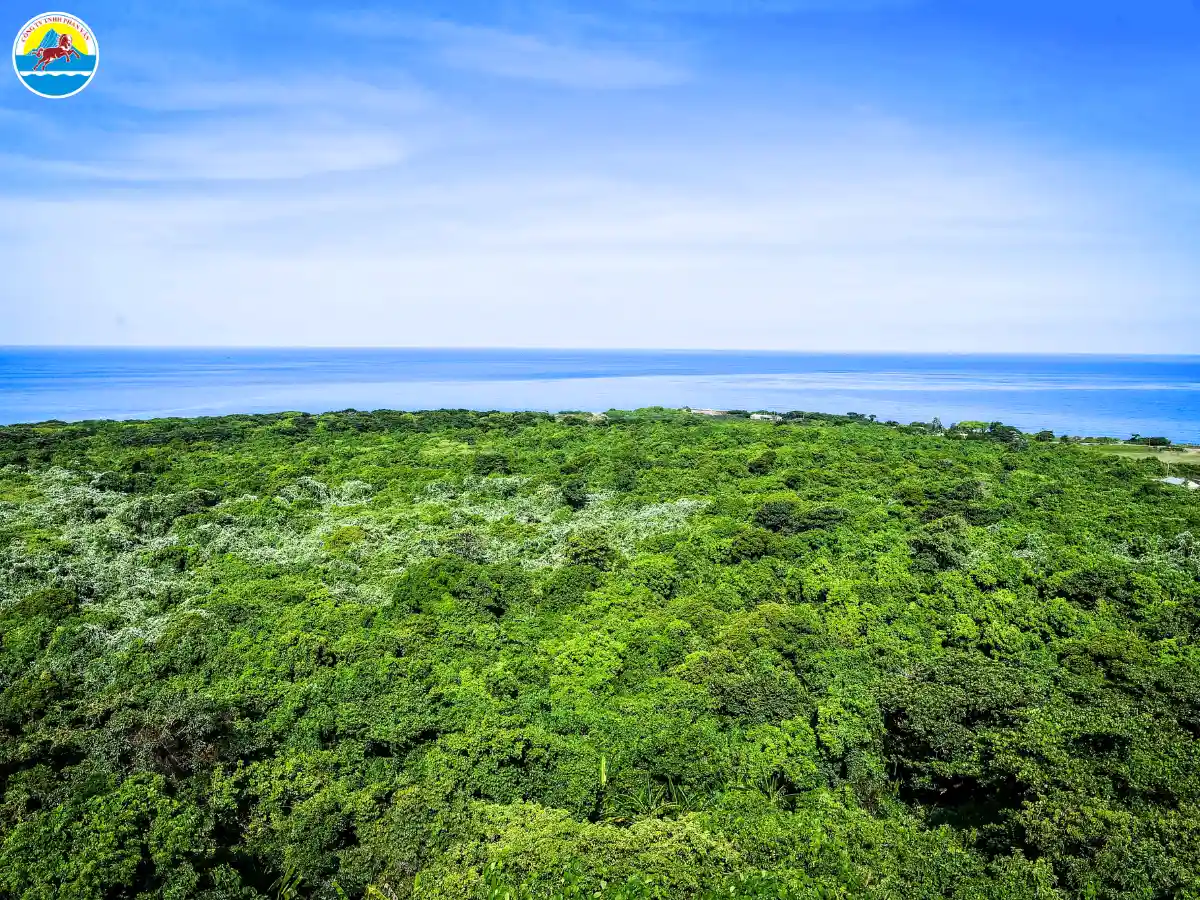 du lịch đảo cồn cỏ quảng trị