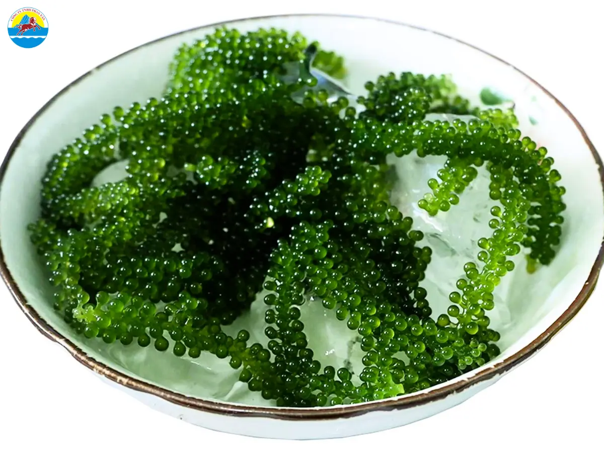 du lịch cồn cỏ