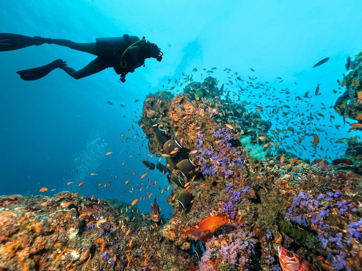 kham-pha-tour-du-lich-maldives-thien-duong-bien-xanh-long-lay-phan-van-travel-4