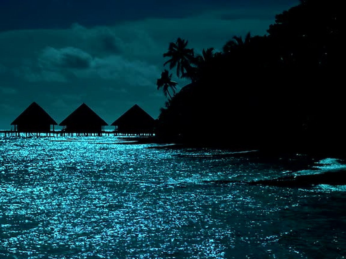 kham-pha-tour-du-lich-maldives-thien-duong-bien-xanh-long-lay-phan-van-travel-5