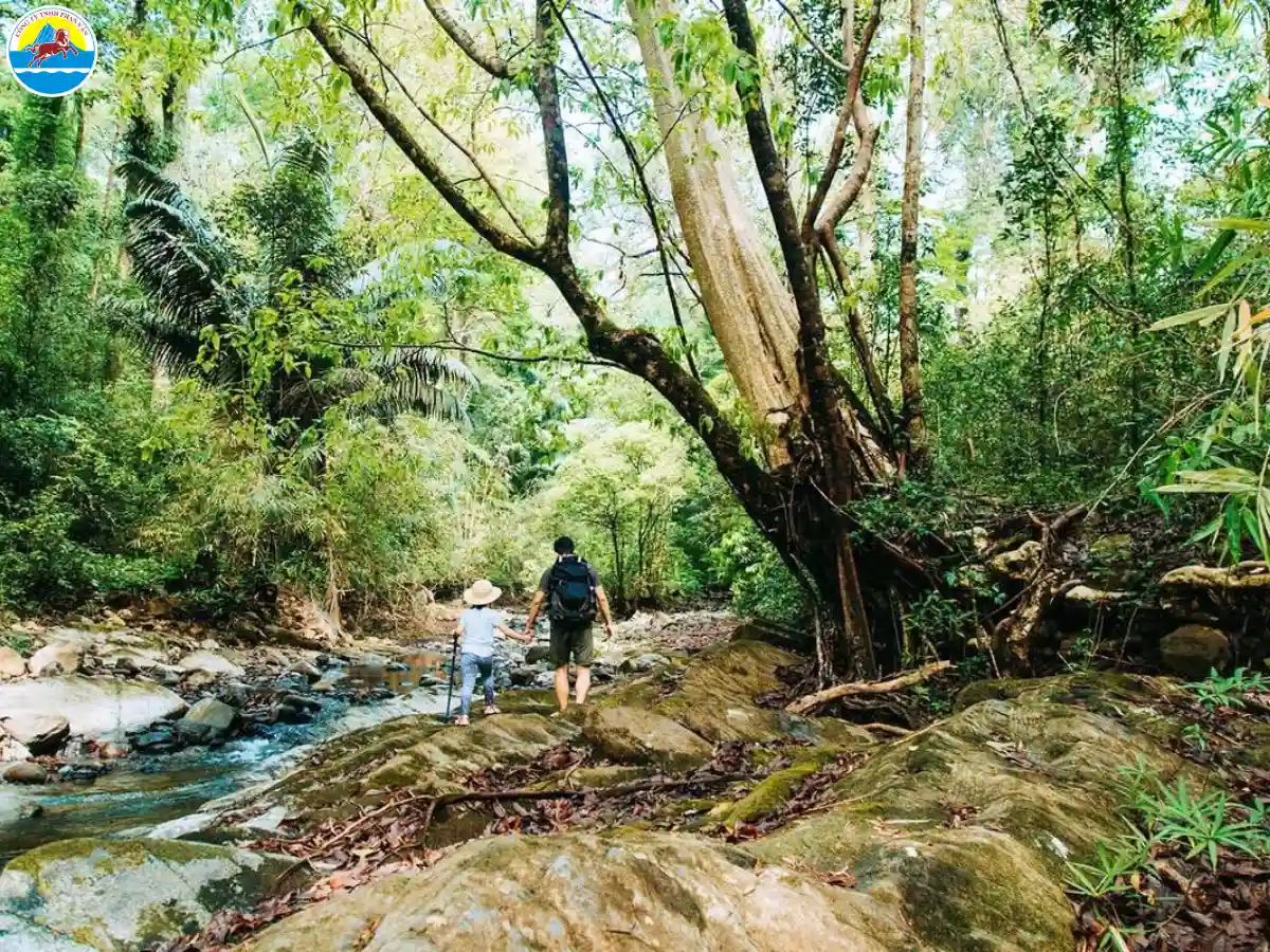 khu du lịch đồng phú bình phước