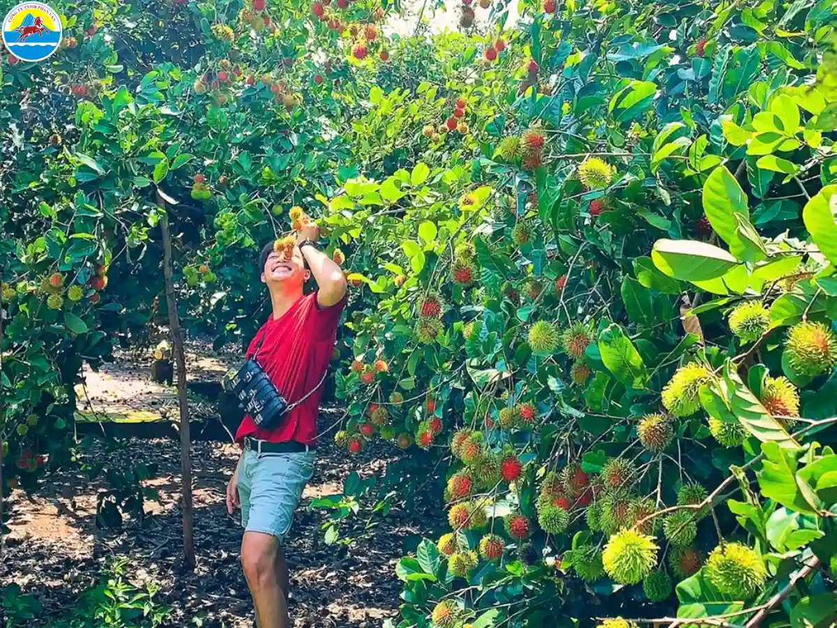 các khu du lịch sinh thái ở bến tre​