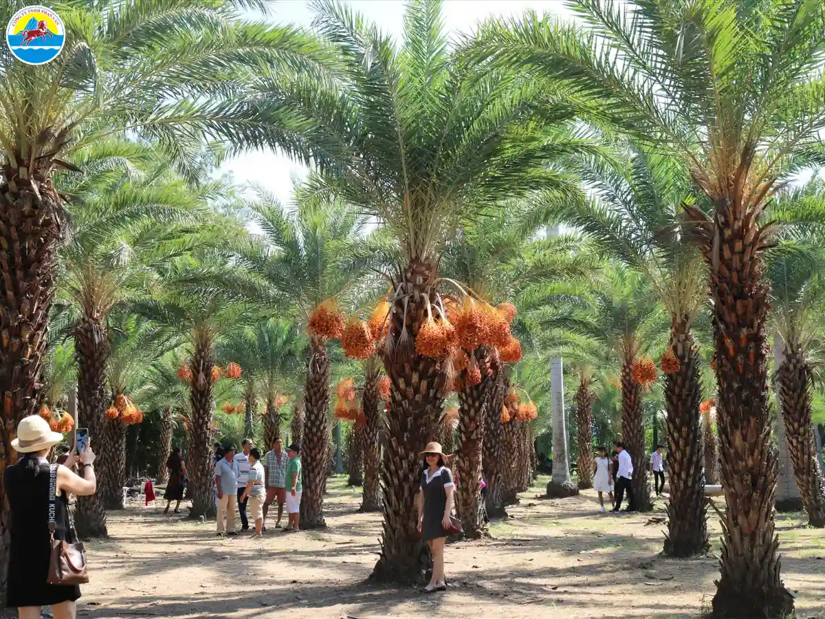 khu du lịch sinh thái ở đồng tháp